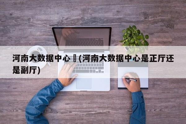 河南大数据中心︰(河南大数据中心是正厅还是副厅)