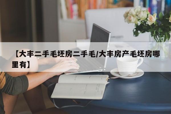 【大丰二手毛坯房二手毛/大丰房产毛坯房哪里有】