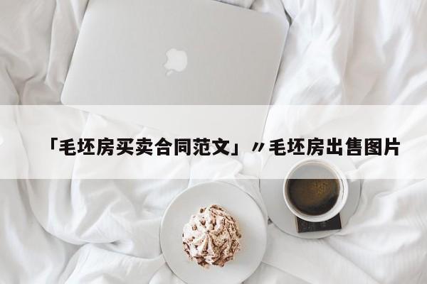 「毛坯房买卖合同范文」〃毛坯房出售图片