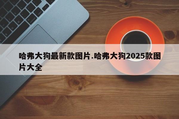 哈弗大狗最新款图片.哈弗大狗2025款图片大全