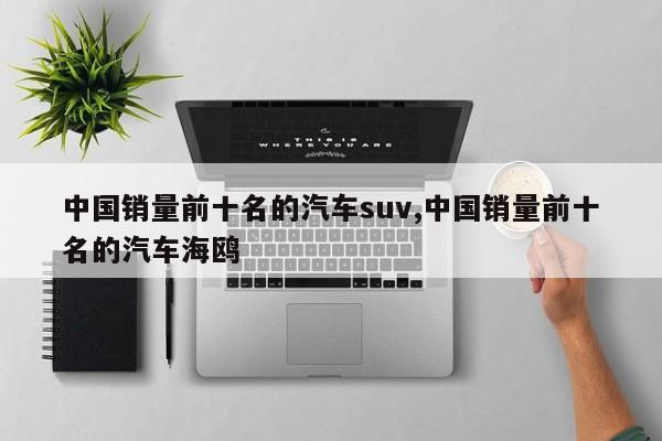 中国销量前十名的汽车suv,中国销量前十名的汽车海鸥