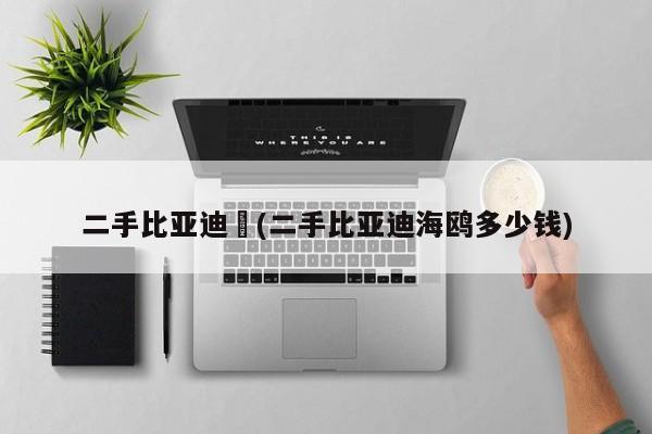 二手比亚迪︰(二手比亚迪海鸥多少钱)