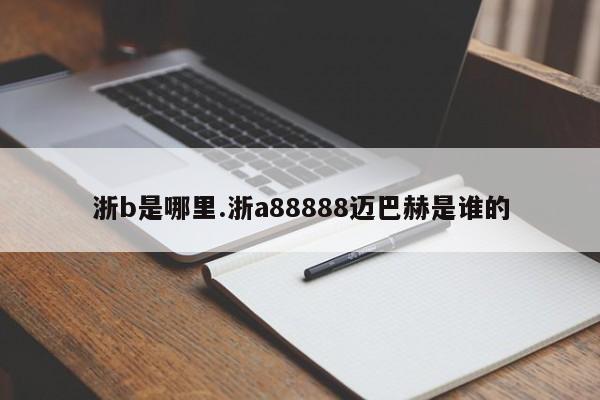 浙b是哪里.浙a88888迈巴赫是谁的