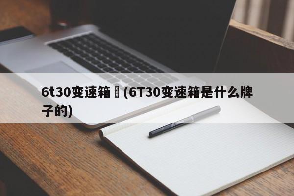 6t30变速箱︰(6T30变速箱是什么牌子的)