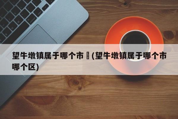 望牛墩镇属于哪个市︰(望牛墩镇属于哪个市哪个区)
