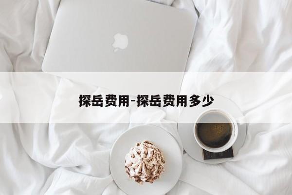 探岳费用-探岳费用多少