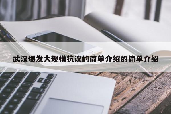 武汉爆发大规模抗议的简单介绍的简单介绍