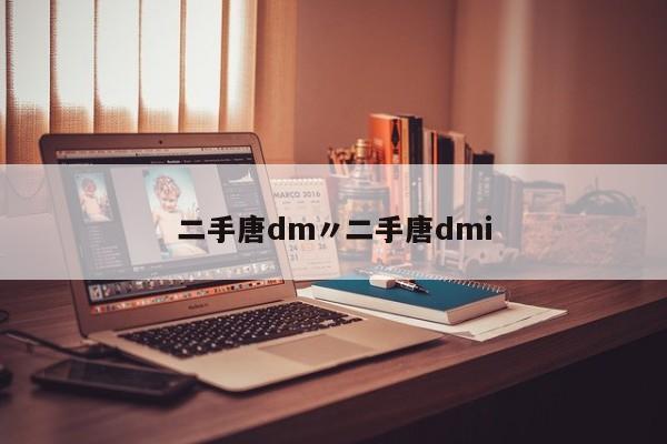 二手唐dm〃二手唐dmi